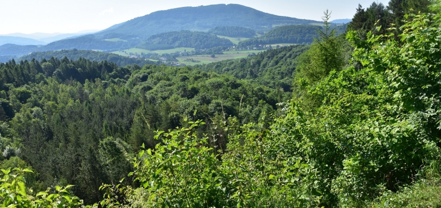 Goleszów, widok na Czantorię